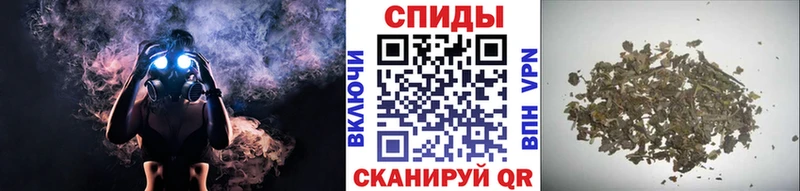 купить   Оса  БУТИРАТ 99% 
