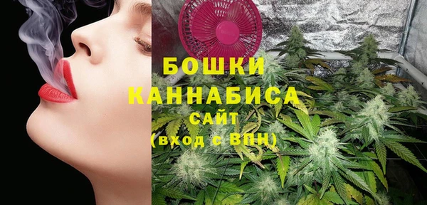 стафф Аркадак