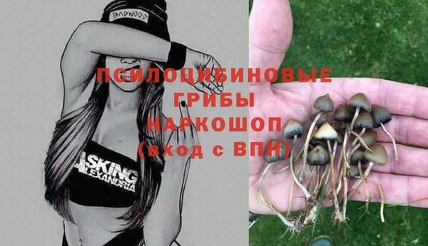 стафф Аркадак
