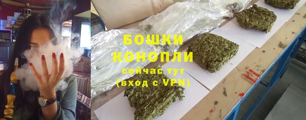 спиды Арсеньев